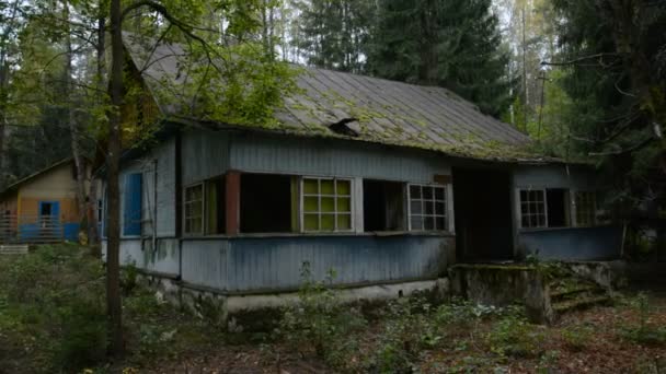 Uitsterven van de mensheid, een verlaten oud gebouw in het bos — Stockvideo