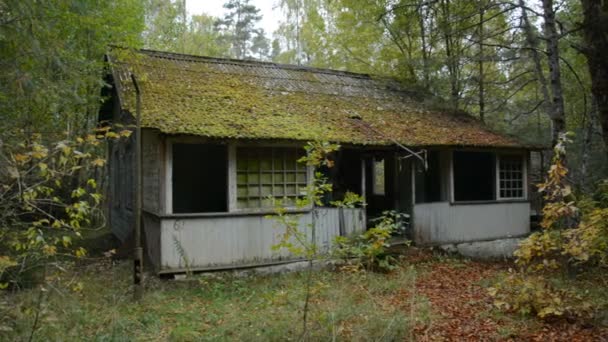 Estinzione dell'umanità, un vecchio edificio abbandonato nella foresta — Video Stock
