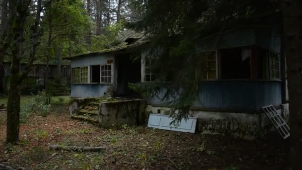 Estinzione dell'umanità, un vecchio edificio abbandonato nella foresta — Video Stock