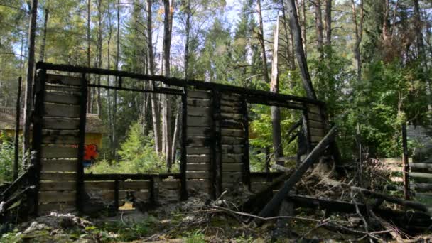 Le rovine di una casa di legno bruciato nella foresta, il concetto di apocalisse — Video Stock