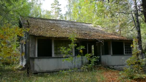 Elhagyott faház az erdőben — Stock videók