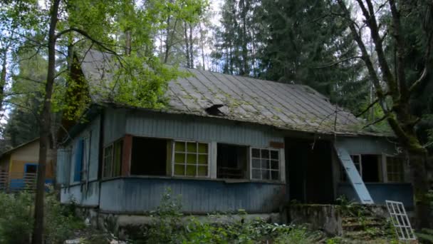 Casa in legno abbandonata nella foresta — Video Stock