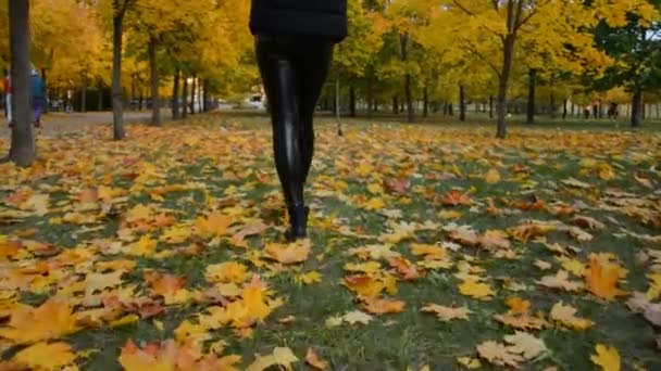 В осеннем парке гуляют длинные женские ноги в кожаных штанах — стоковое видео