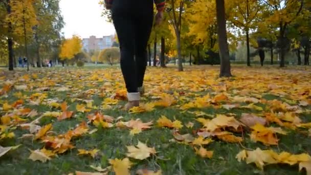 Zbliżenie kobiecych nóg w butach i czarne dżinsy spacerujące po parku — Wideo stockowe