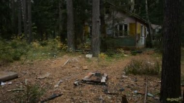 Ormanda yürümek ya da taşınmak