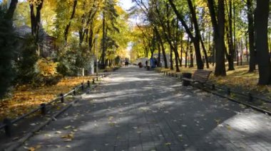 Sonbaharda şehir eğlence parkındaki boş patika, düşmüş sarı yapraklar.