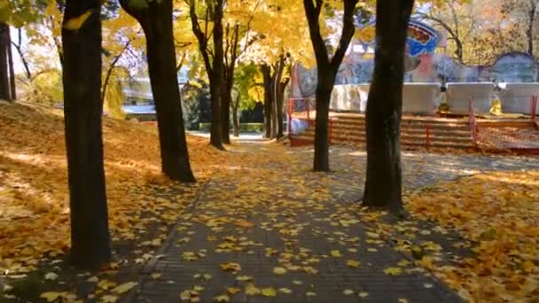 Sendero vacío en el parque de atracciones de la ciudad en otoño, hojas amarillas caídas — Vídeos de Stock