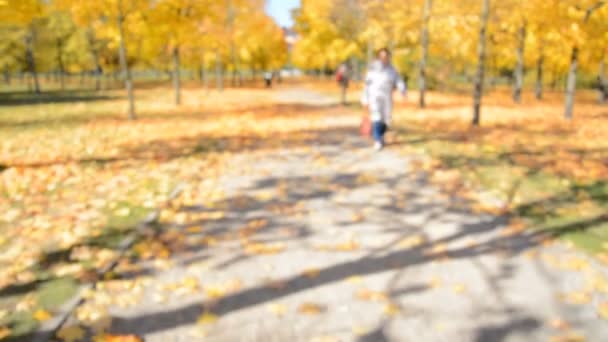 Emty Vista borrosa del sendero en la ciudad de otoño — Vídeos de Stock