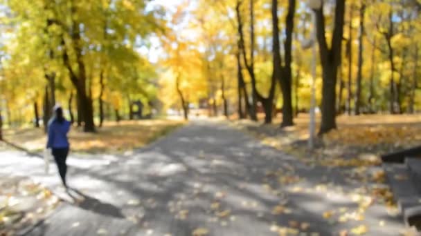 Emty Vista borrosa del sendero en la ciudad de otoño — Vídeos de Stock