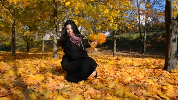 Sonbahar parkında oynayan güzel mutlu genç kız düşmüş sarı yaprakları topluyor. — Stok video