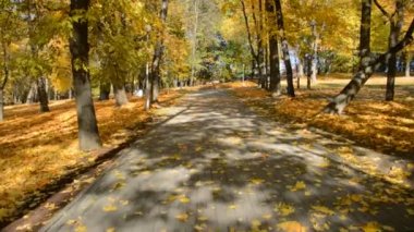 Sonbahar parkındaki patikada yürüyorum.