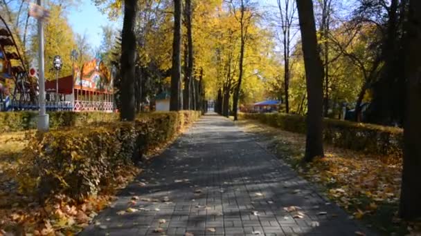 Caminando por el sendero en el parque de otoño — Vídeos de Stock