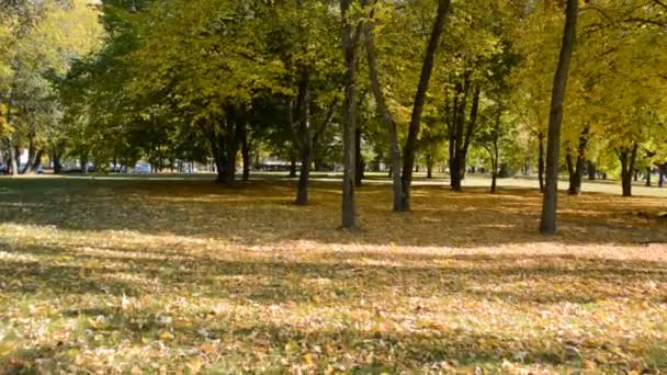 Caminando por el sendero en el parque de otoño — Vídeos de Stock
