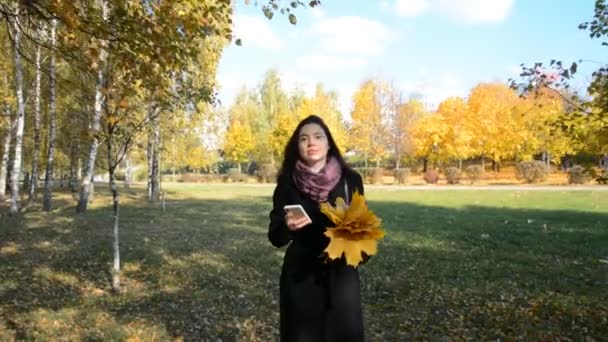 공원에서 걸어 다니고 전화로 인터넷을 검색하는 여성 — 비디오