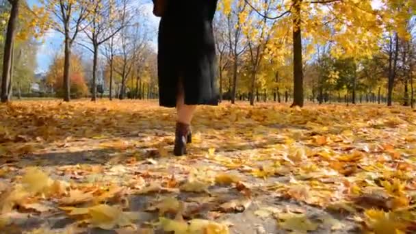 Vrouwelijke voeten sluiten in de herfst lopen — Stockvideo