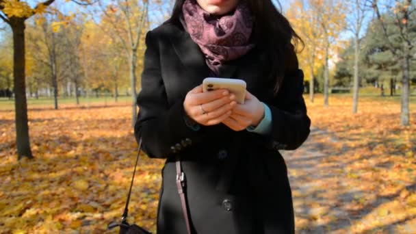 Meisje schrijft een bericht op een smartphone en wandelt door het herfstpark — Stockvideo