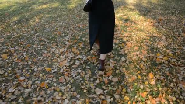 秋の牧草地を歩く女性の足 — ストック動画