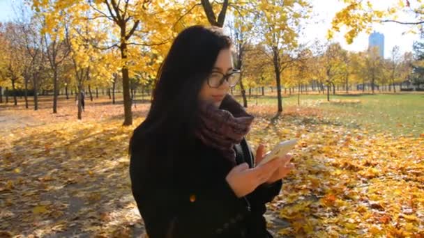 Bella ragazza d'affari in occhiali e con un telefono in mano scrive un messaggio in un parco autunnale — Video Stock