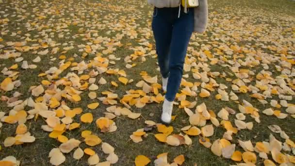 Benen van een hippe meid die op gevallen bladeren loopt — Stockvideo