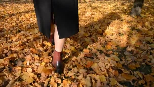 Stylowa kobieta w skórzanych butach i beżowym płaszczu chodząca złotymi liśćmi — Wideo stockowe