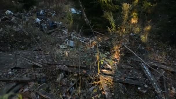 森のゴミ捨て場 — ストック動画