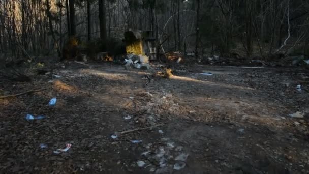 Restos de un edificio en el bosque — Vídeos de Stock