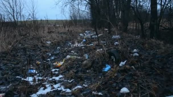 Ecologische problemen, vuilnisbelt in het bos — Stockvideo