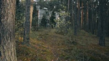 Walking through a pine forest to an abandoned two-story building