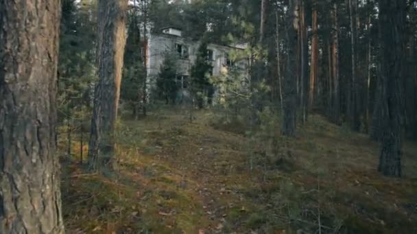 Walking through a pine forest to an abandoned two-story building — Stockvideo