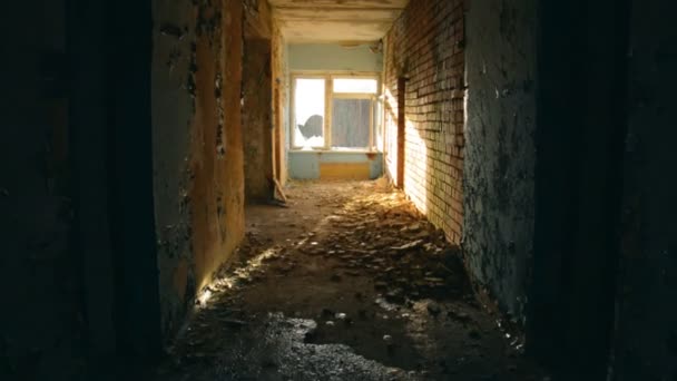 Σκοτεινός διάδρομος και παράθυρο σε εγκαταλελειμμένο κτίριο — Αρχείο Βίντεο