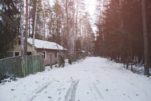 冬の森の風景の中の森林道 — ストック写真