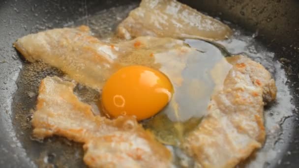 Gros plan œufs brouillés au bacon — Video