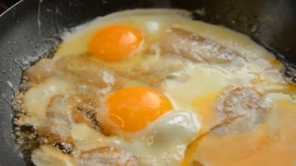 Gros plan sur la friture des œufs brouillés — Video