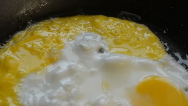Huevos de pollo fritos en una sartén — Vídeo de stock