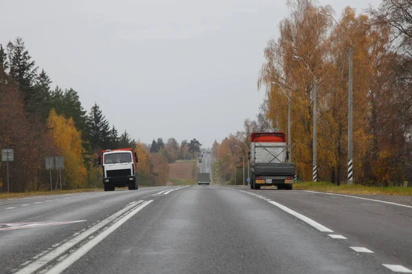 가을이 유럽의 의도로 풍경을 배경으로 노란색 자작나무 아스팔트 달리는 트럭들 — 스톡 사진