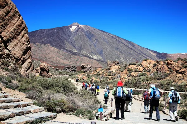 Wegen en rotsachtige lava van vulkaan Teide — Stockfoto