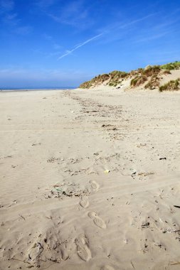 Cefn Sands plajı Carmarthenshire Güney Galler 'deki Pembrey Country Parkı' nda, popüler bir Galler turizm merkezi ve kıyı şeridi manzarası olan,