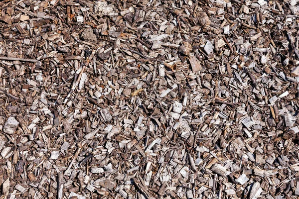 Wood Chip Bark Chippings Having Been Shredded Use Garden Mulch — Stock Photo, Image