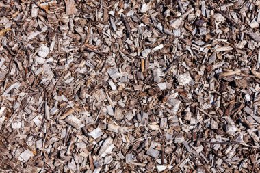 Ahşap kabuk kesikleri kereste endüstrisi tarafından bahçe gübresi olarak kullanılmak üzere öğütülmüş. Bu ağaç kabuğu, soyut bir doku olarak kullanılabilir.