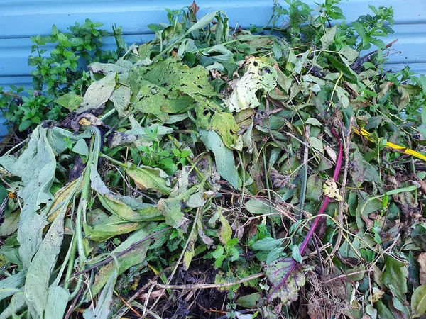 Rotting Heap Vegetation Garden Waste Recycled Spring Compost Mulch Vegetable — Stock Photo, Image