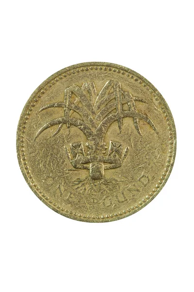 Antiguo Elizabeth Una Libra Moneda Británica Inglaterra Reino Unido Que —  Fotos de Stock