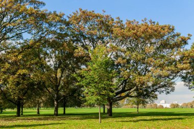 Hyde Park, Londra 'da sonbahar aylarında halka açık bir alan ve popüler bir turistik gezi merkezi olan İngiltere' de sergileniyor.