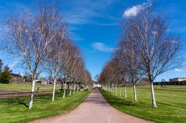 Llanarthney, Wales, İngiltere, 16 Nisan 2021: Himalaya Birch ağaçlarının (Betula Utilisat) Ulusal Botanik Bahçesi 'ndeki bir patika boyunca uzanan hattı, stok fotoğrafı