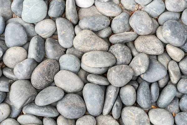 Abstract sea or river pebbles background with a smooth texture, stock phot image