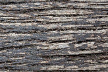 Eski kahverengi yıpranmış ahşap meşe kereste döşeme arka plan dokusu, stok fotoğraf görüntüsü