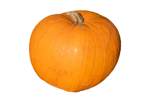 Dynia Cucurbita Pomarańczowy Zimowy Squash Warzywny Używany Wyświetlania Halloween Wyciąć — Zdjęcie stockowe