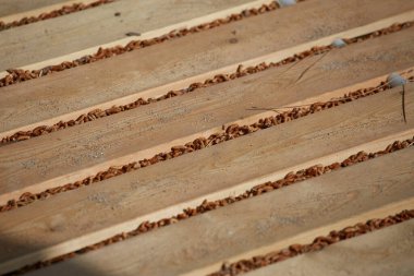 Zemin, genç bir ladin konilerinin arasındaki tahtalardan yapılmıştır.