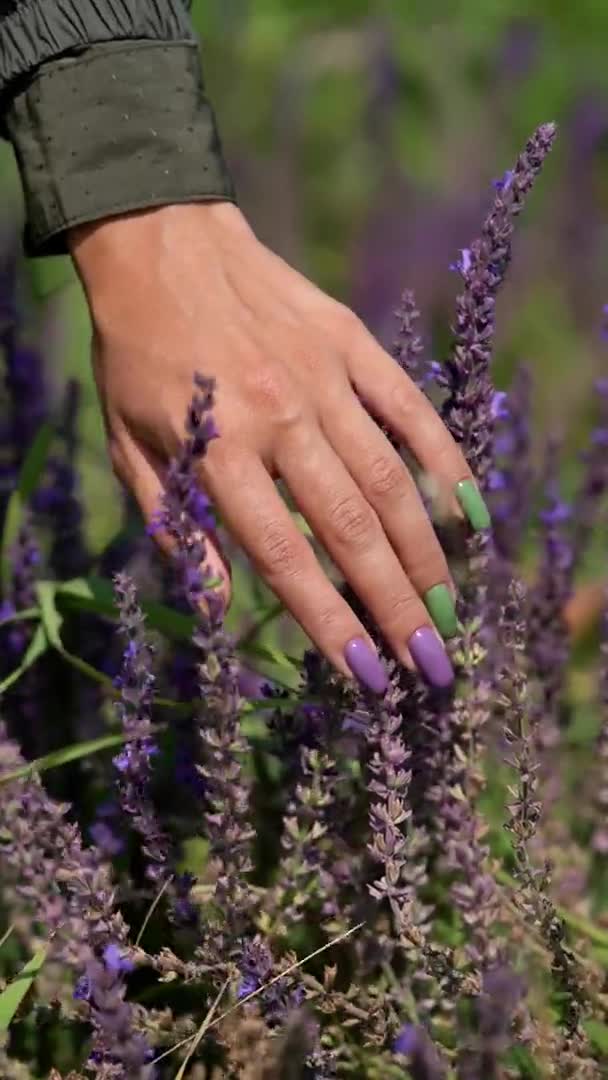Une main de femme avec une belle manucure touche les fleurs avec sa main — Video
