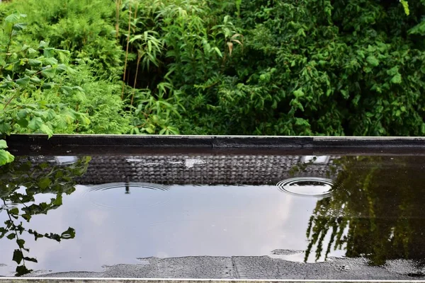 Reflexión sobre un techo plano negro después de fuertes lluvias contra arbustos y árboles — Foto de Stock
