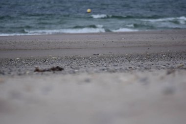 Okyanusa karşı yüzen küçük bir şamandırayla sahilin odak noktaları farklı.